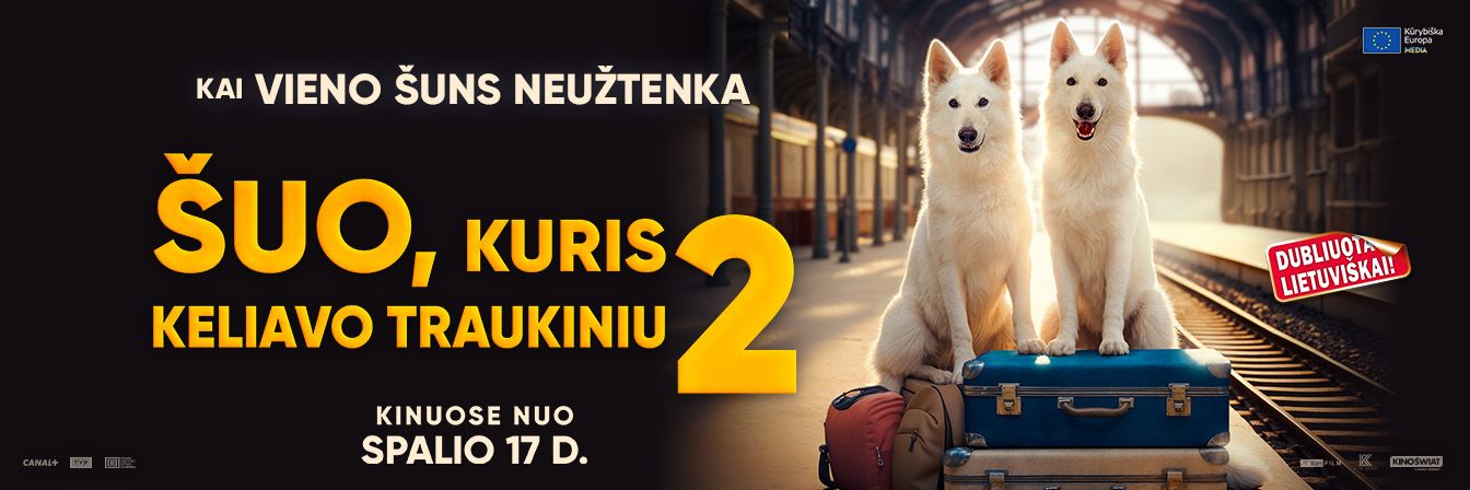 ŠUO, KURIS KELIAVO TRAUKINIU 2