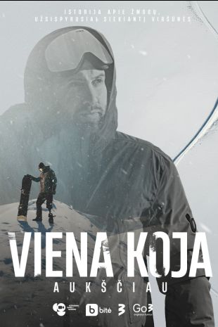 VIENA KOJA AUKŠČIAU