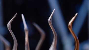 Paaiškėjo geriausi metų kino kūrėjai: išdalintos „Sidabrinės gervės“