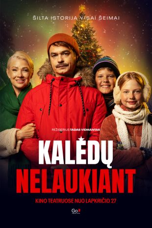 KALĖDŲ NELAUKIANT