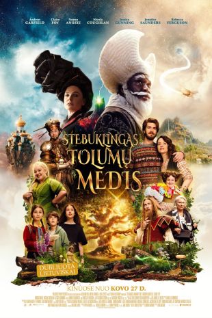 STEBUKLINGAS TOLUMŲ MEDIS