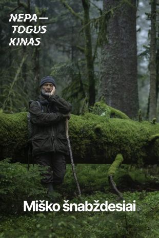 NK'26: MIŠKO ŠNABŽDESIAI