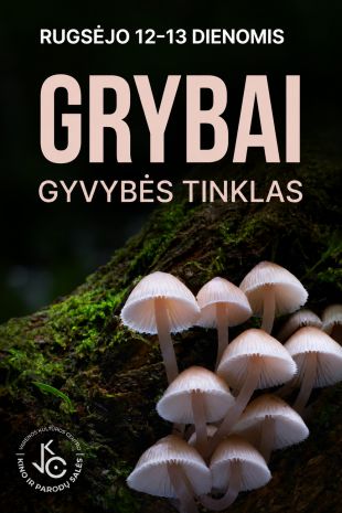Grybai: gyvybės tinklas 3D