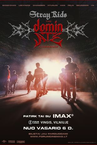 Stray Kids: The dominATE Experience