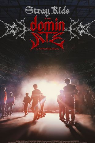 Stray Kids: The dominATE Experience