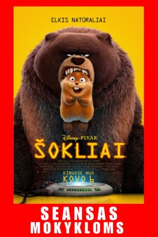 SEANSAS MOKYKLOMS: ŠOKLIAI (dubliuota lietuviškai)