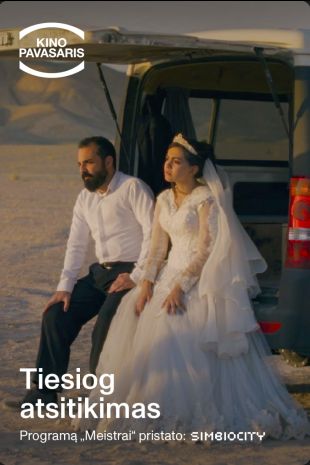 TIESIOG ATSITIKIMAS (KINO PAVASARIS)