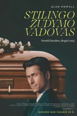STILINGO ŽUDYMO VADOVAS
