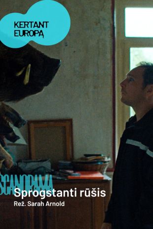 SCA'26: Sprogstanti rūšis