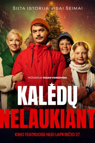 KALĖDŲ NELAUKIANT