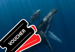 Ocean Explorer Movie Ticket - 10 Tickets Voucher